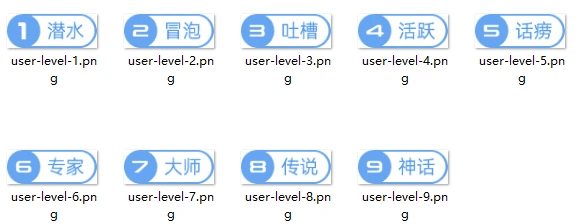 图片[11]-最全的用户等级与vip图标素材合集-苏晨博客网