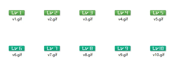 图片[22]-最全的用户等级与vip图标素材合集-苏晨博客网